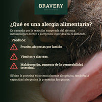 Bravery adulto x 12 + 4 kg